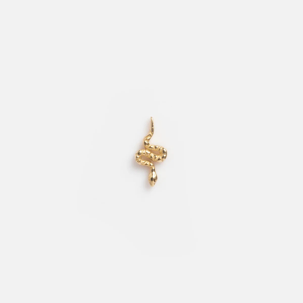 Snake Charm